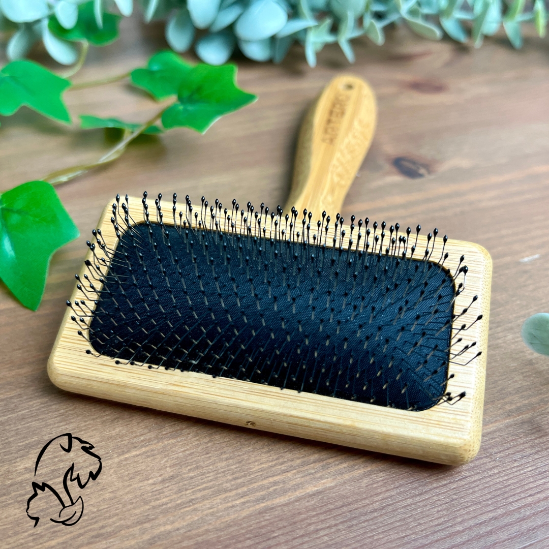 Carda púa protegida para perros y gatos.