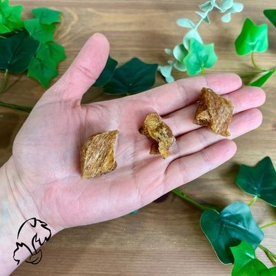 Palomitas de pollo. Premios y snacks naturales para perros y gatos.
