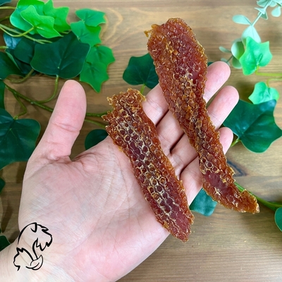 Snack natural Filetes de pato para perros y gatos
