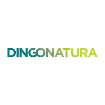 Dingonatura