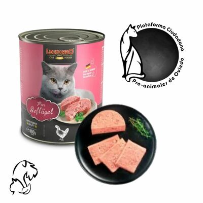 LATA 800G PARA LOS GATETES DE LA PROTECTORA