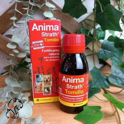 Stangest Anima-Strath Tomillo 100 mL