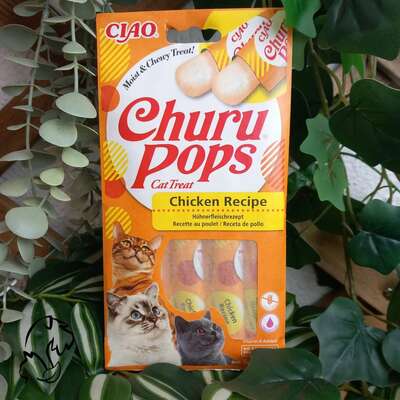 Ciao Churu para gatos- Pops de Pollo
