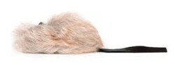 Ratoncito Calatrava