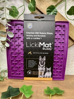 LickiMat ® Classic Buddy ™ - Morado