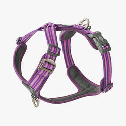 Dog Copenhagen Arnés Comfort Walk Air™ V3 Lila Pasión