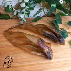 GANGA - Oreja de Buey con oído