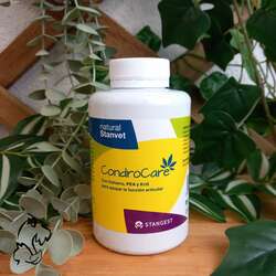 Stangest CondroCare 90 comprimidos