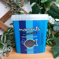 Dingonatura Moments Barritas Salmón 600 g